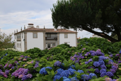 Portugal Quinta do Monteverde Haupthaus mit Hortensien