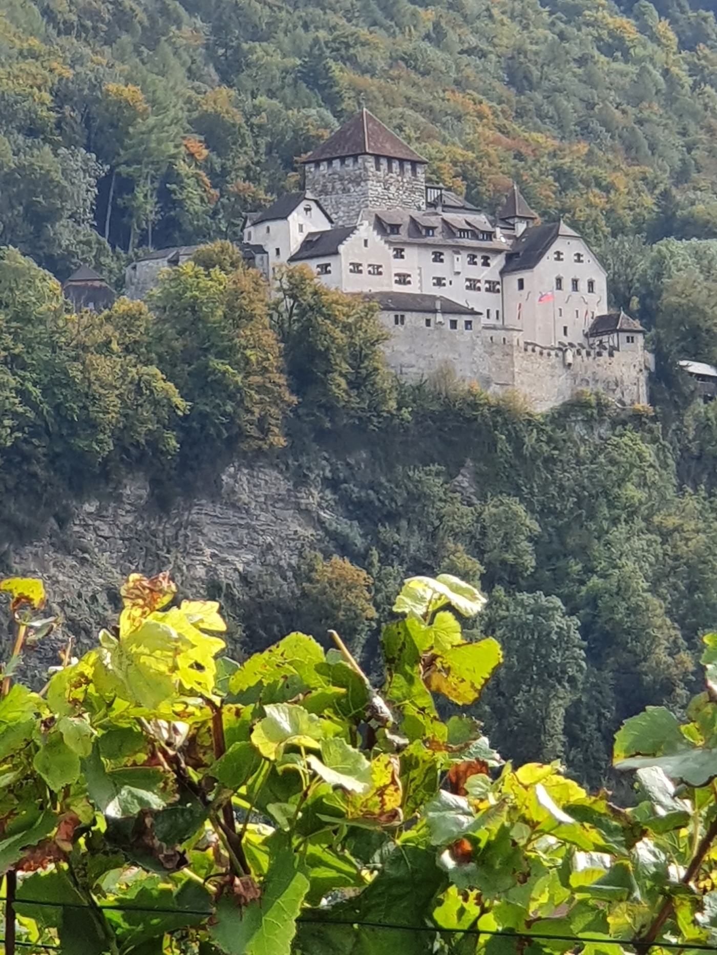 Liechtenstein Burg