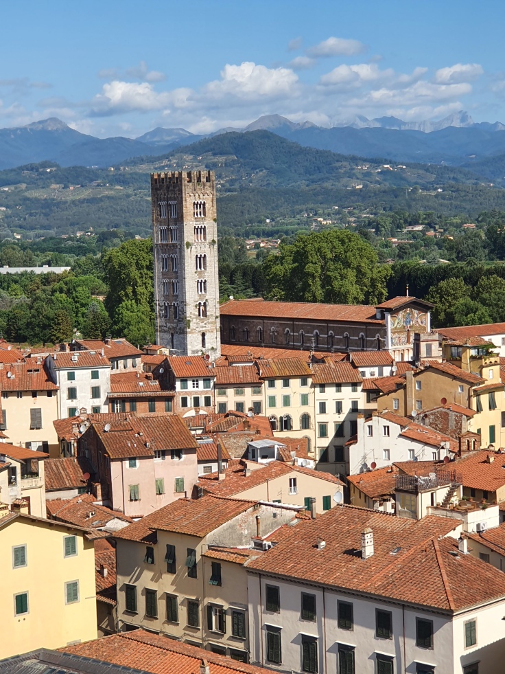 Lucca - Blick vom Geschlechterturm Guinigiturm